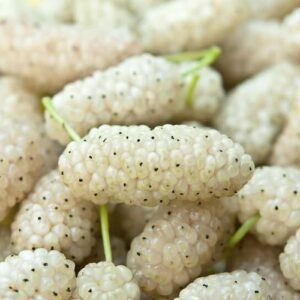 Gilgit Sweet Dry Mulberries – Organic Dry Fruit from Pakistan (1KG
