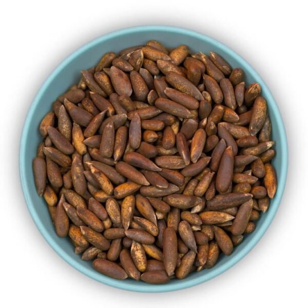 CHAQON Premium Chilgoza 500 Grams – Organic Pine Nuts from Pakistan - Image 3