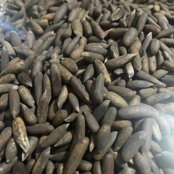 CHAQON Premium Chilgoza 500 Grams – Organic Pine Nuts from Pakistan