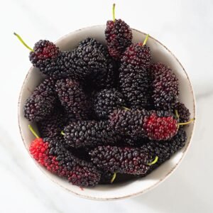 Gilgit Sweet Dry Mulberries – 500g | Organic White Mulberry NPak