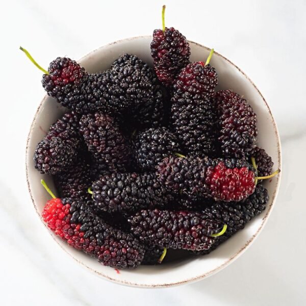 Gilgit Sweet Dry Mulberries – 250g Pack - Image 3
